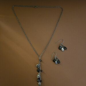 Silverstone and black necklace and earrings set
